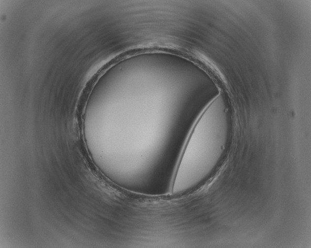X0000077350876200610200912
