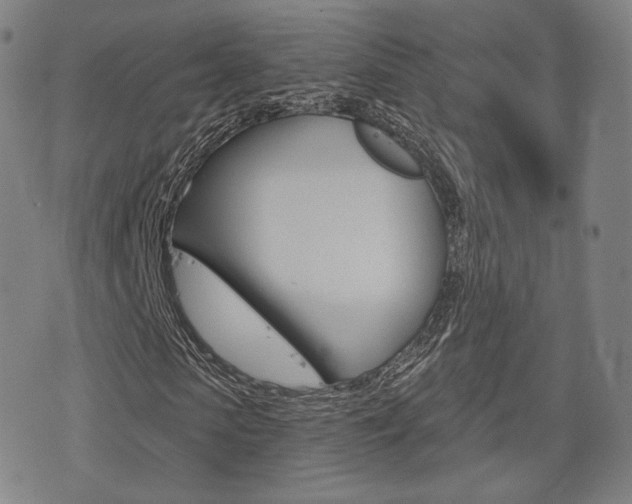 X0000077350913200610200911