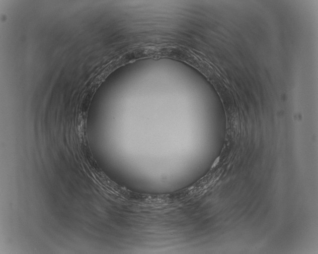 X0000077350914200610200911