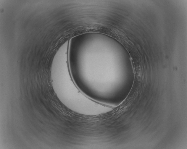 X0000077350916200610200911