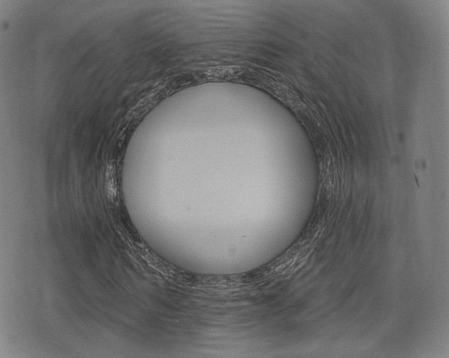X0000077350962200610200911