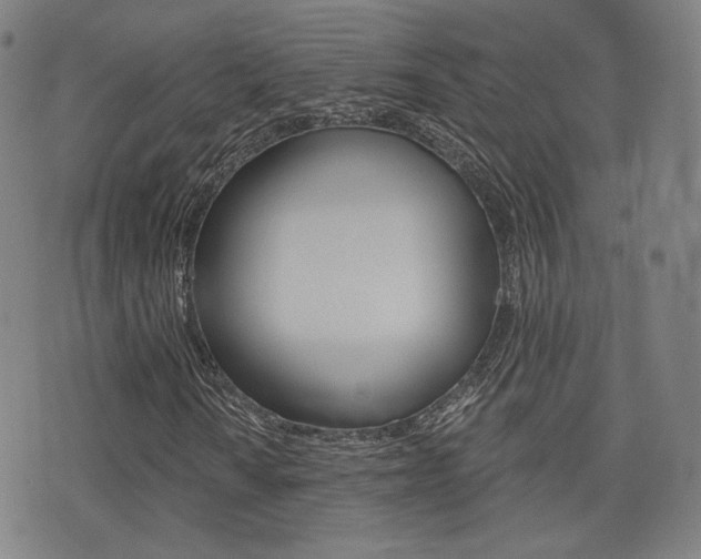 X0000077351010200610200910