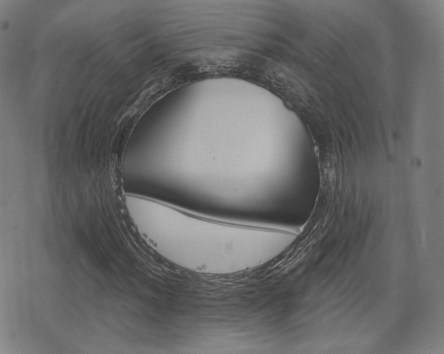 X0000077351012200610200910