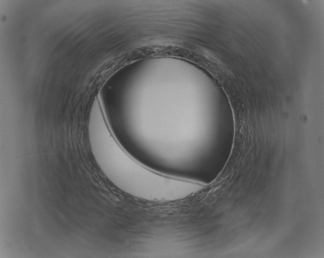 X0000077351014200610200910