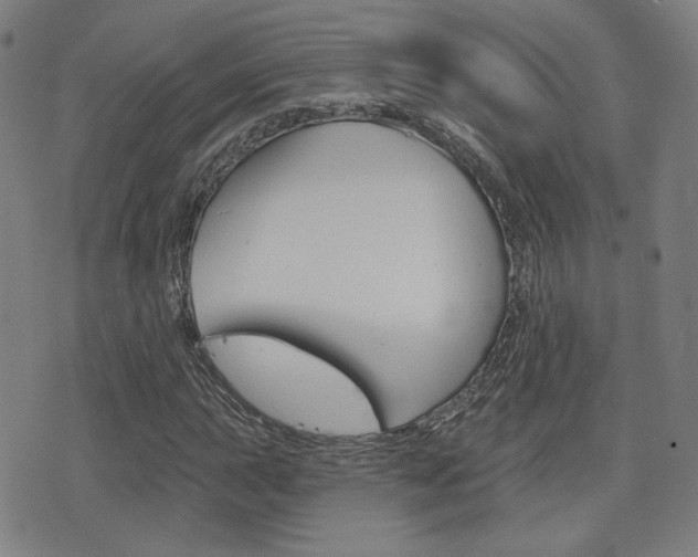 X0000077351015200610200910