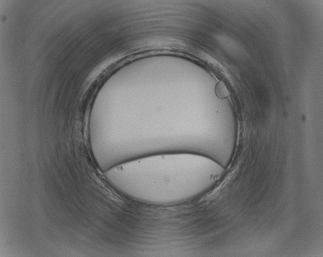 X0000077351019200610200910