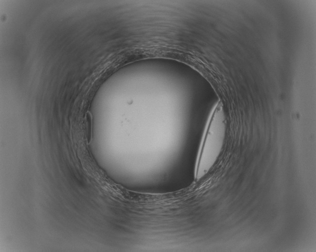 X0000077351057200610200910