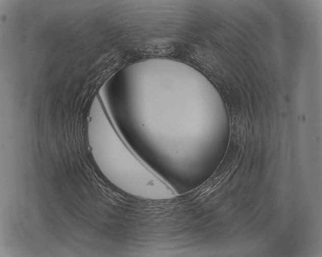 X0000077351058200610200910