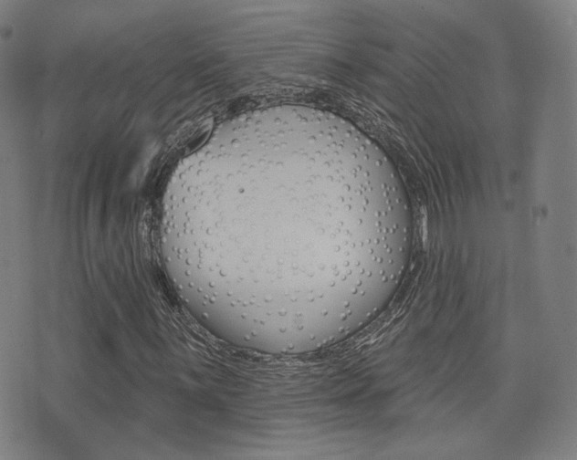 X0000077351059200610200910