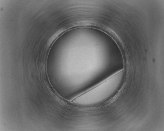 X0000077351081200610200909