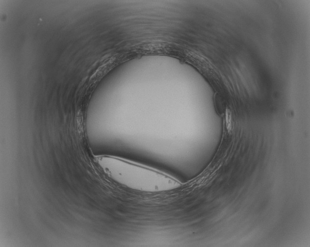 X0000077351107200610200908