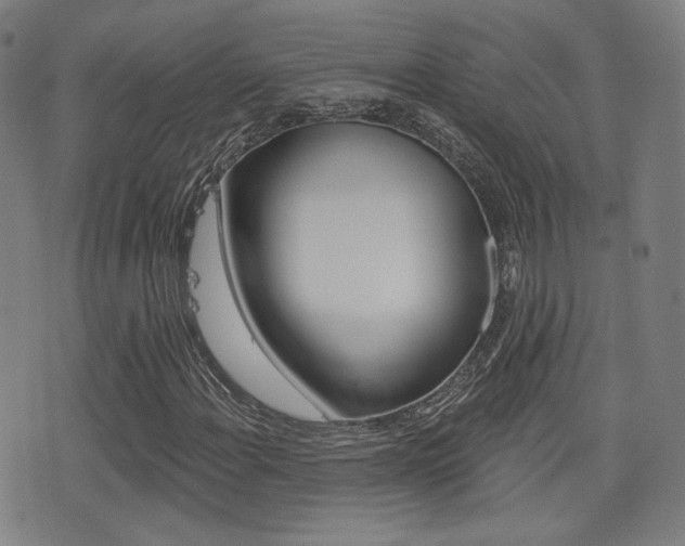 X0000077351108200610200908