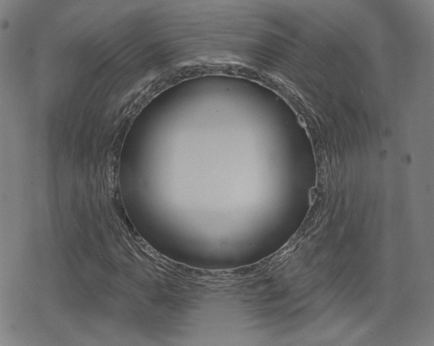 X0000077351110200610200908