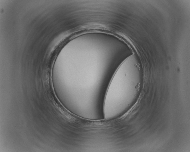 X0000077351115200610200908