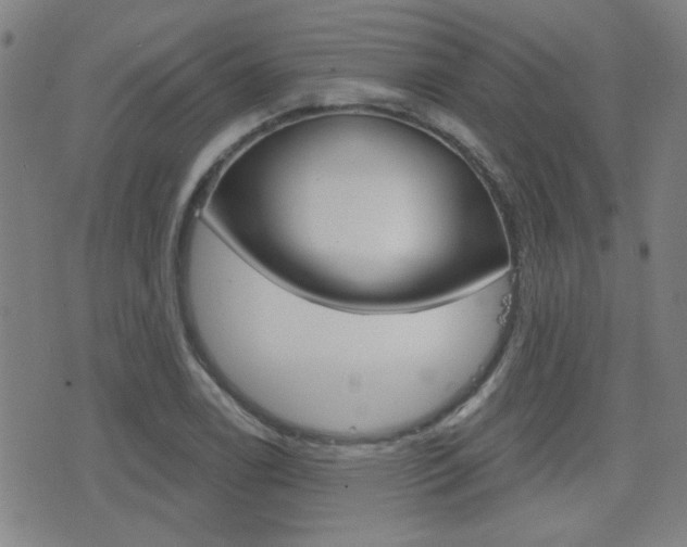 X0000077351122200610200908