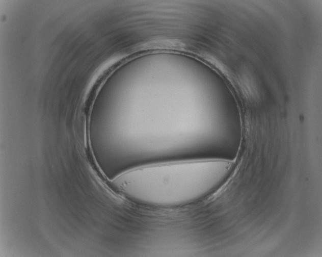 X0000077351123200610200908