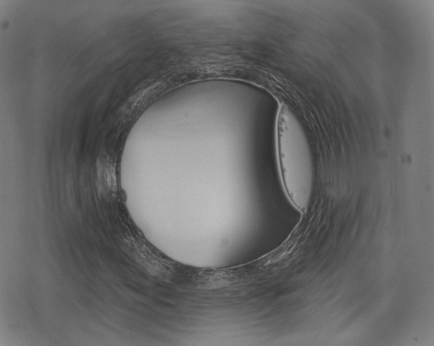 X0000077351155200610200908