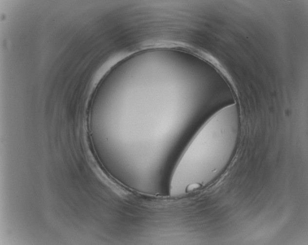 X0000077351187200610200907