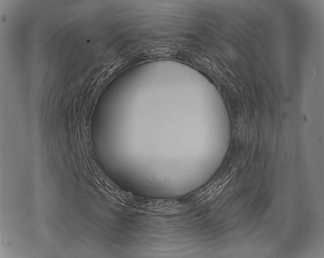 X0000077351201200610200906