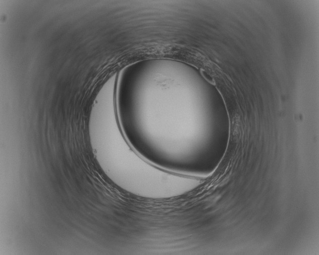 X0000077351202200610200906