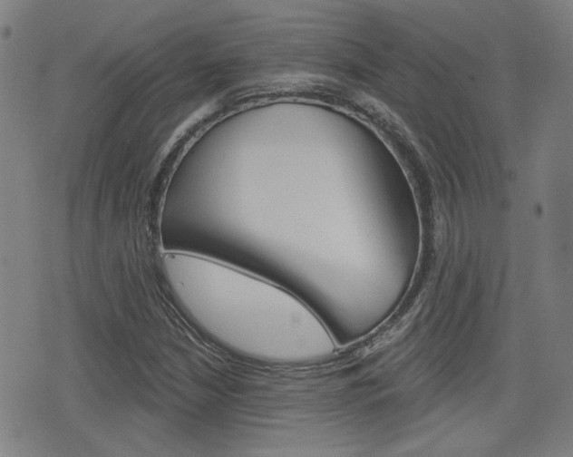 X0000077351210200610200907