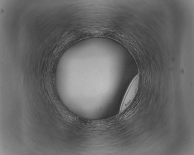 X0000077351249200610200906