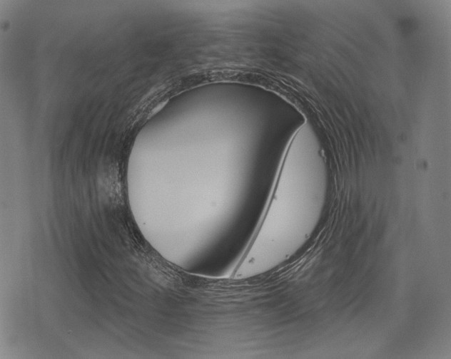 X0000077351252200610200906