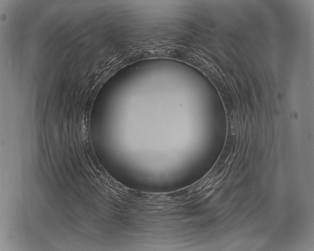 X0000077351298200610200905