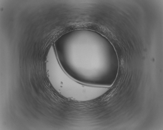 X0000077351300200610200905