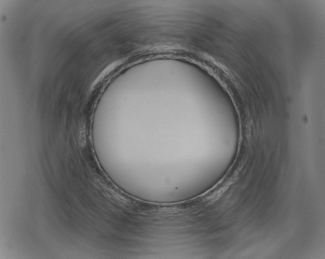 X0000077351306200610200905