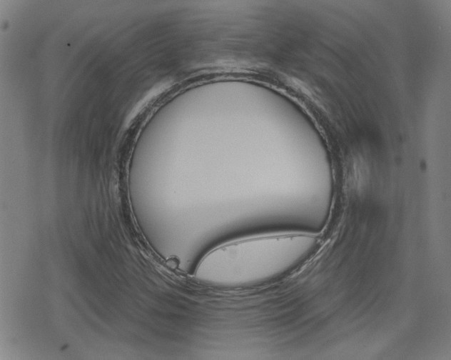 X0000077351307200610200905