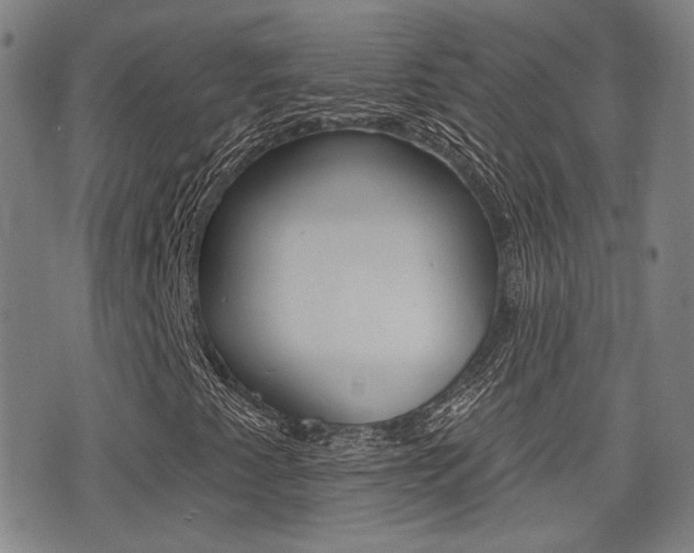 X0000077351345200610200905