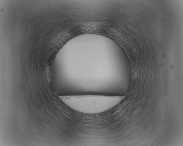X0000077351346200610200905