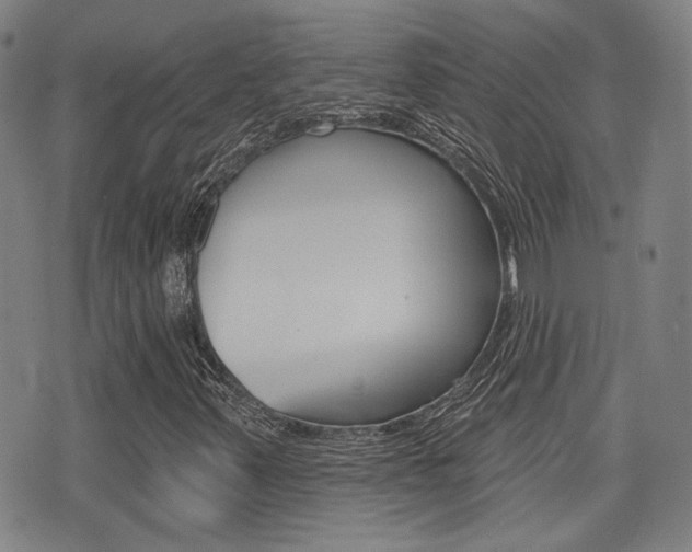 X0000077351347200610200905
