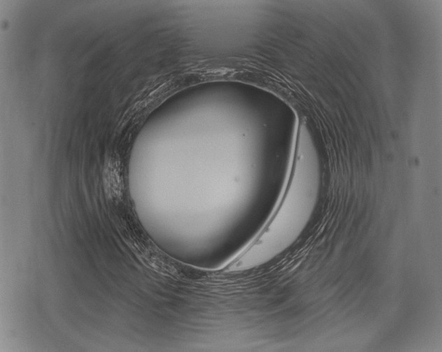 X0000077351394200610200903