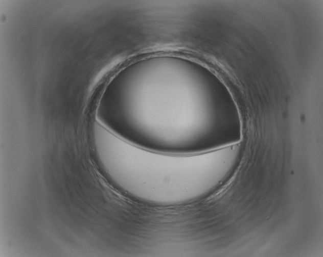 X0000077351406200610200903