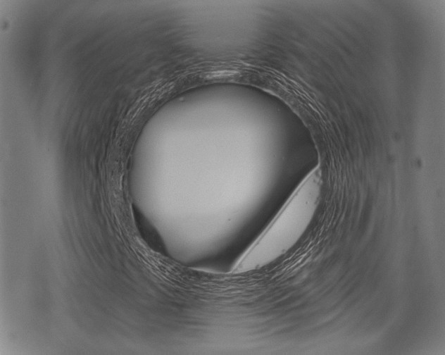 X0000077351441200610200903