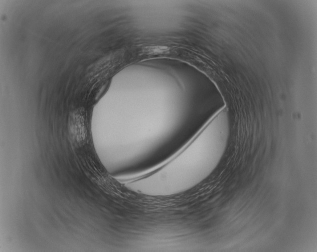 X0000077351442200610200903