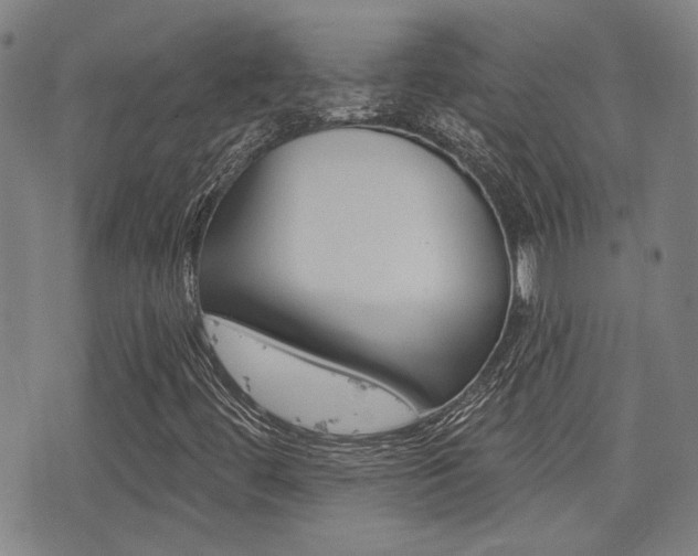 X0000077351444200610200903