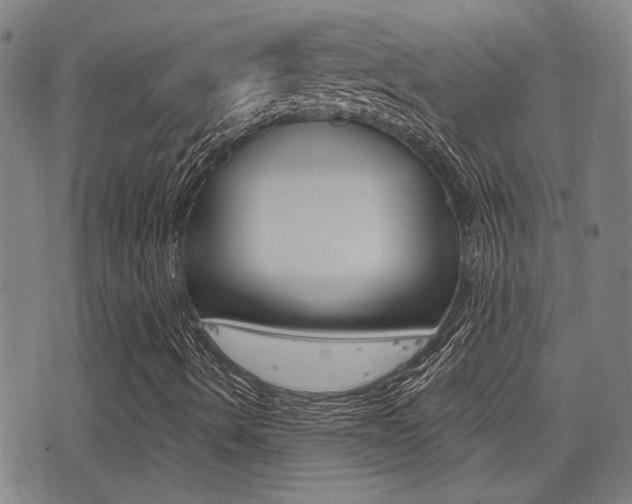 X0000077351490200610200902