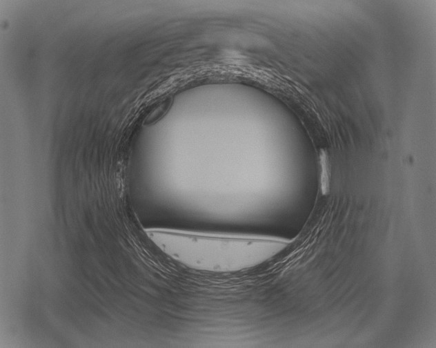 X0000077351491200610200902