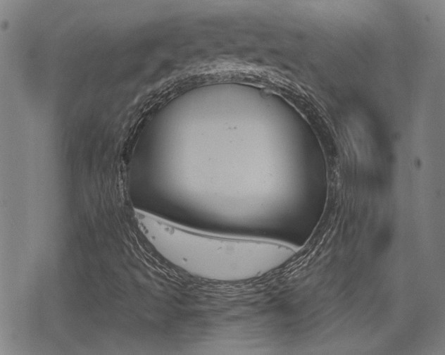 X0000077351493200610200902