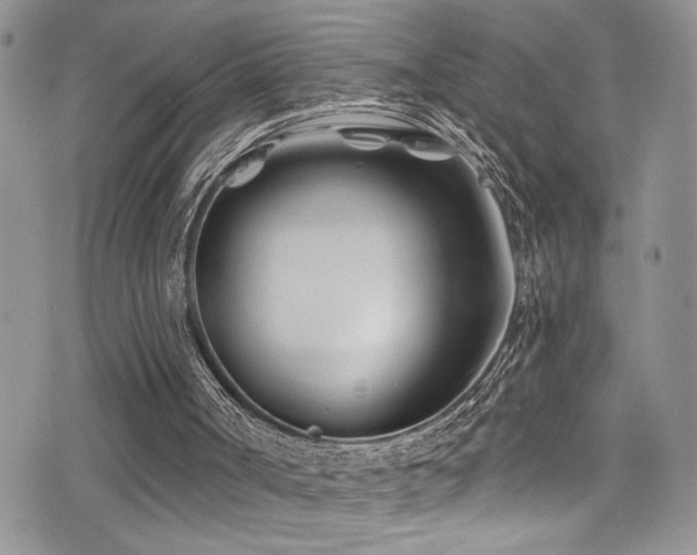 X0000077350002200610201336