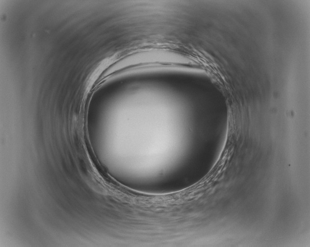 X0000077350003200610201336