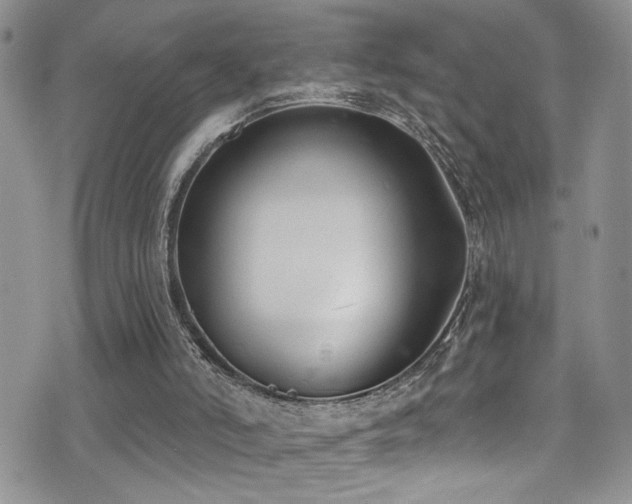 X0000077350006200610201336
