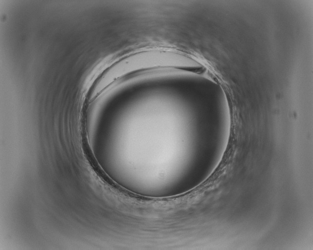 X0000077350007200610201336