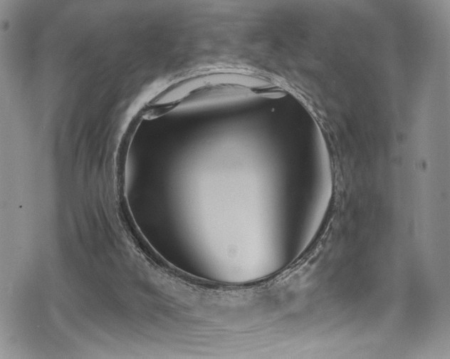 X0000077350008200610201336