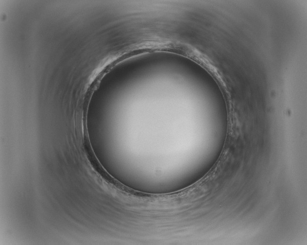 X0000077350011200610201336