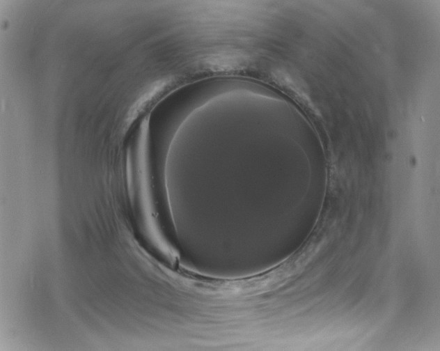 X0000077350019200610201336