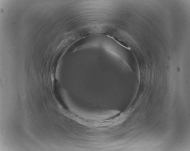 X0000077350035200610201336